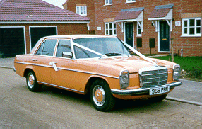 osf merc with ribbons.gif